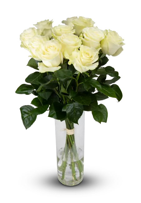 bouquet of Ecuadorian roses 80cm